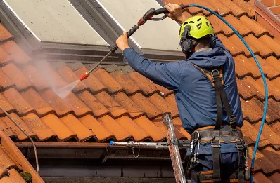 Démoussage et hydrofuge de toiture à Aste-Béon